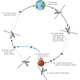 Image for article titled UK Team Unveils Daring Plan to Send Humans to Mars